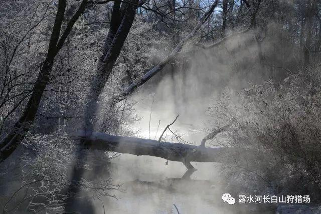 360安全浏览器崩溃怎么修复