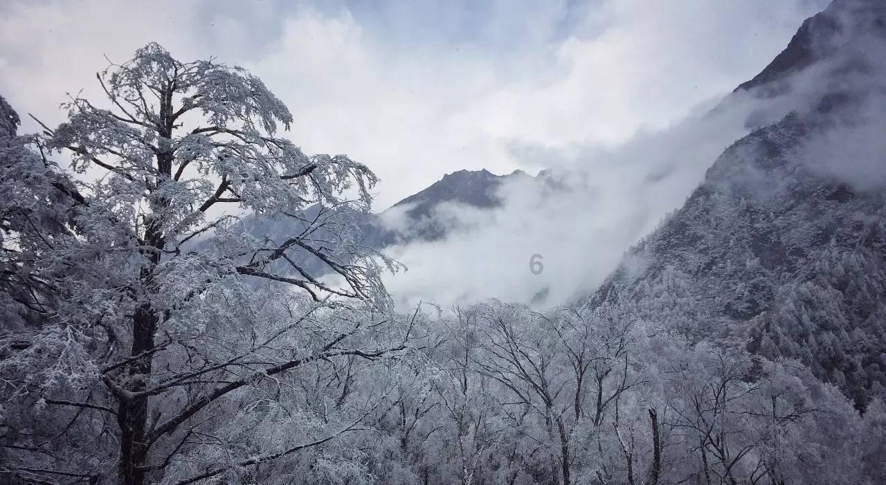 从远方到身边,从线上到线下,《一路前行》不散场