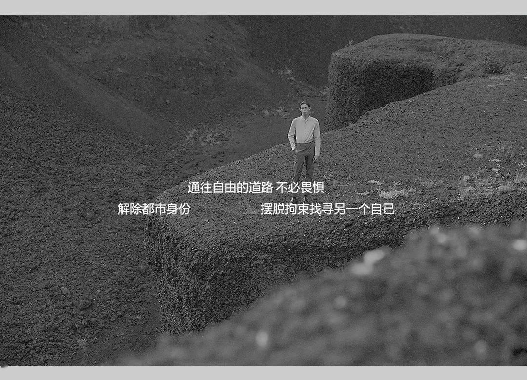 玄凤鹦鹉饿了一天用手喂根本不吃怎么办？游戏画面
