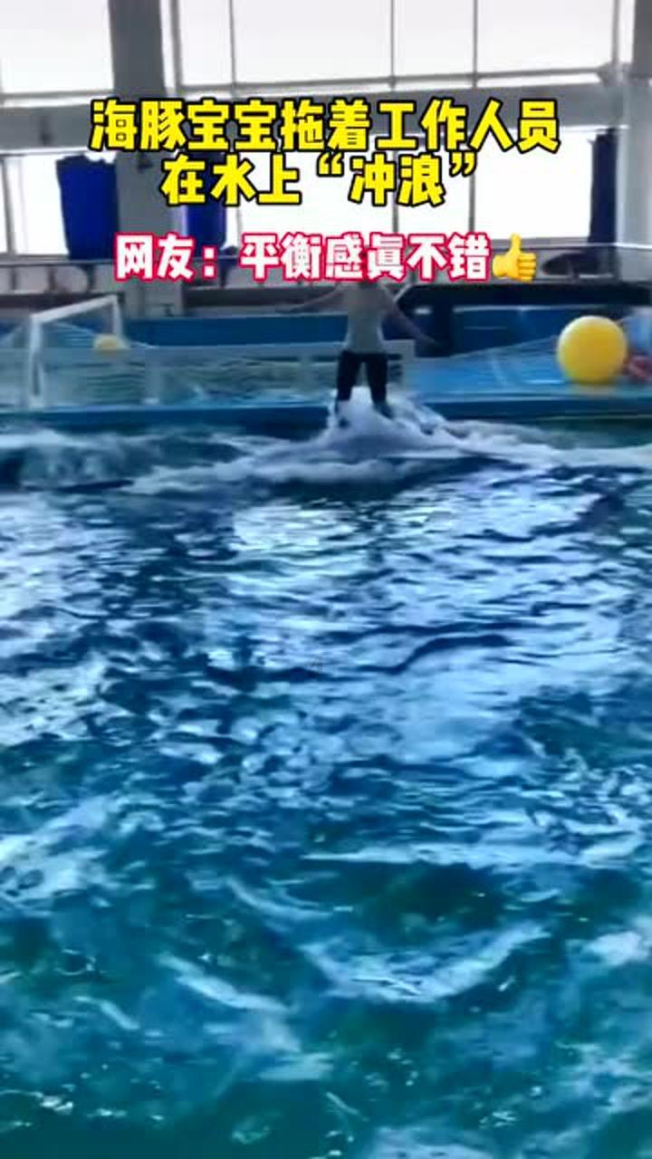 救援呆萌的猫