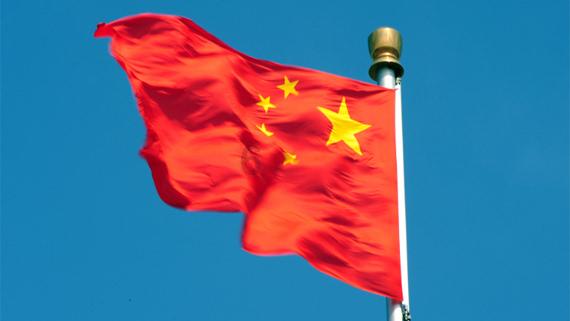 迷你淘气猪逃脱
