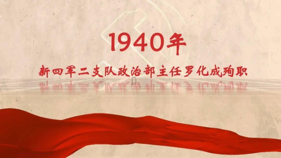 小猫钓鱼游戏龙王版有船