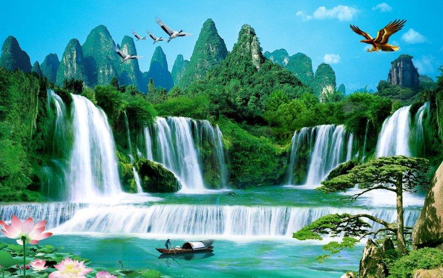 动物帮帮忙保卫家园