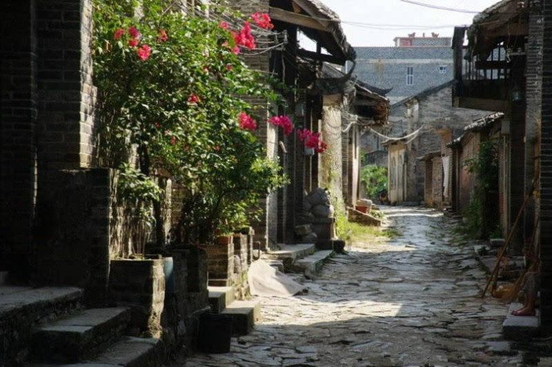 新光路逆向公交专用车道启用时间调整