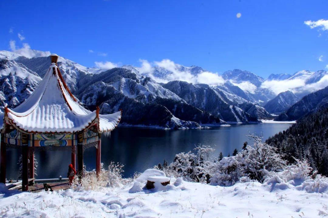 逃离医生的家